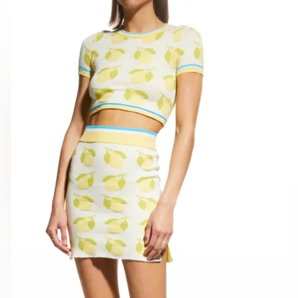 Solid and striped skirt set